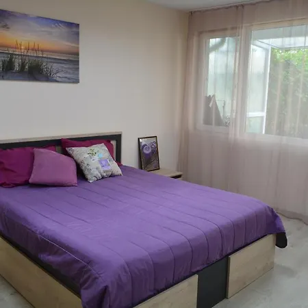 Center With A Backyard