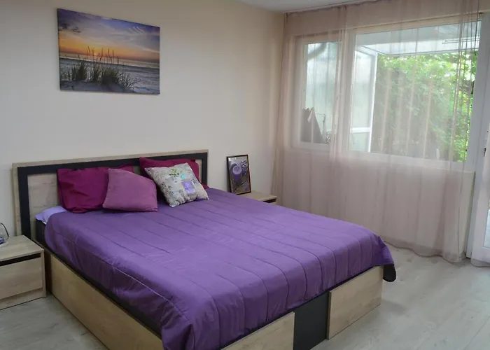 Center With A Backyard