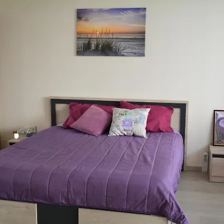 Center With A Backyard Apartment *