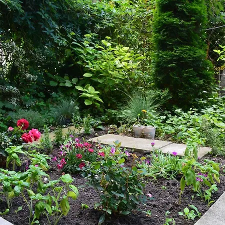 Apartmán Center With A Backyard