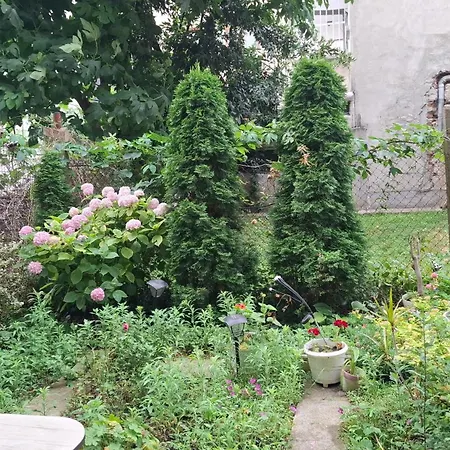 Apartment Center With A Backyard Burgas City