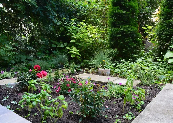 شقة Center With A Backyard